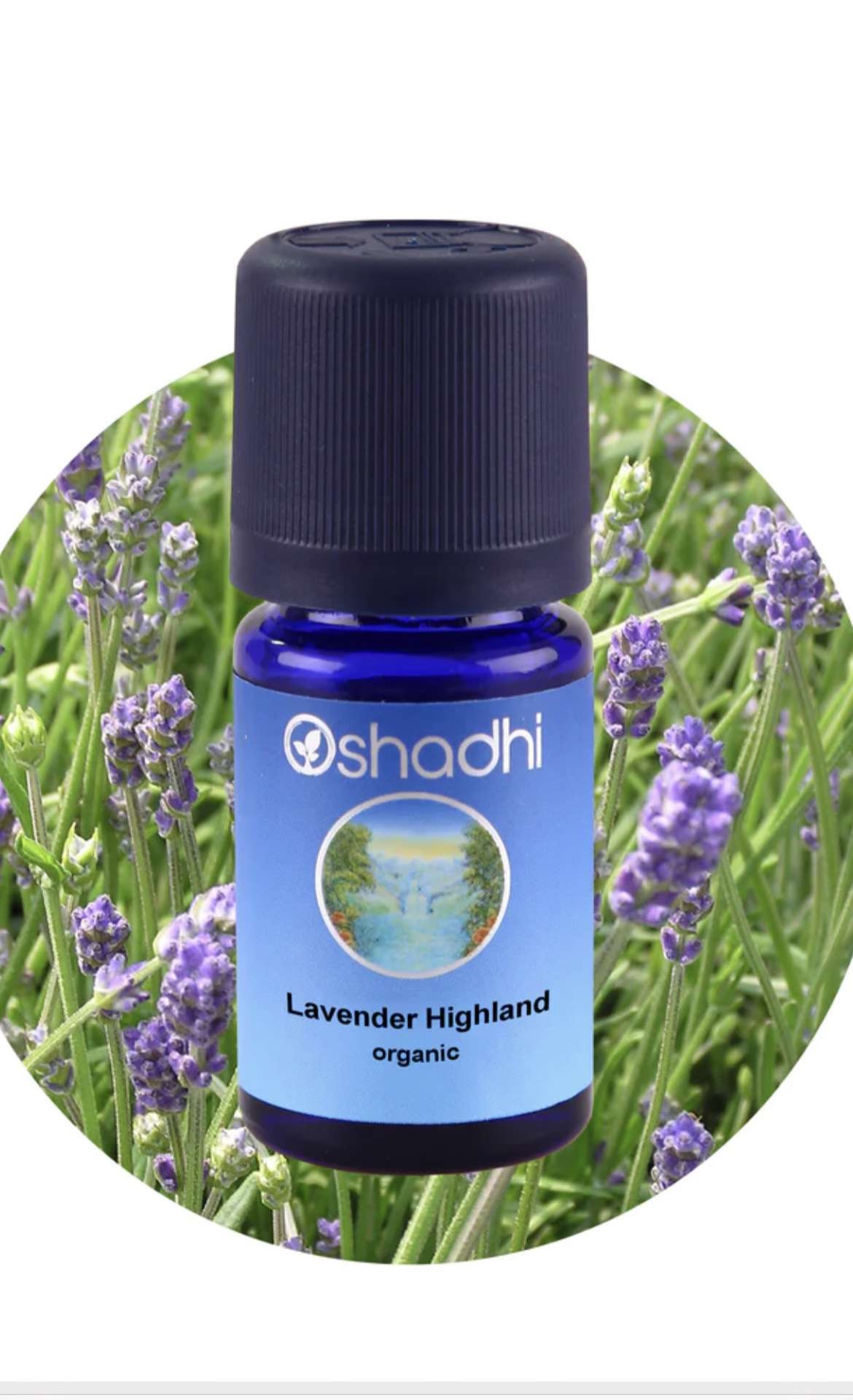 Lavendel - æterisk olie