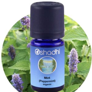 Pebermynte - æterisk olie