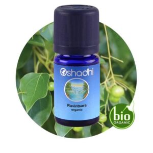Ravintsara Organic
