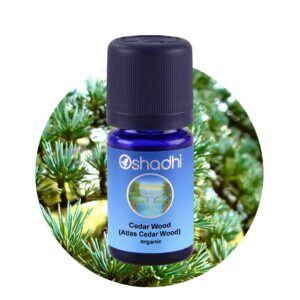 Cedertræ - Atlas Cedar Wood Organic